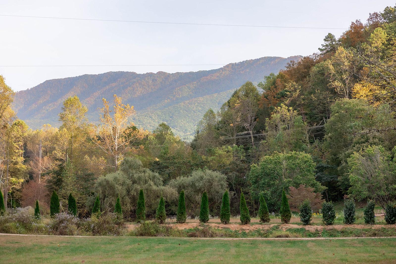 Lindsey Creek 2